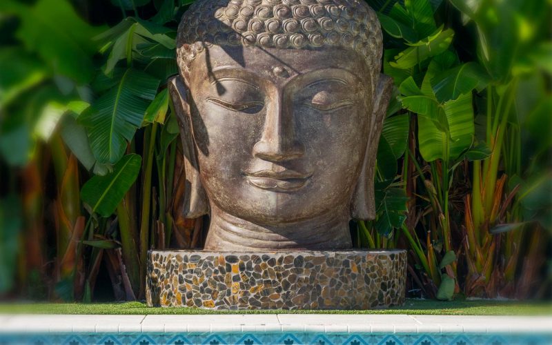 Zen-Pool-Buddha