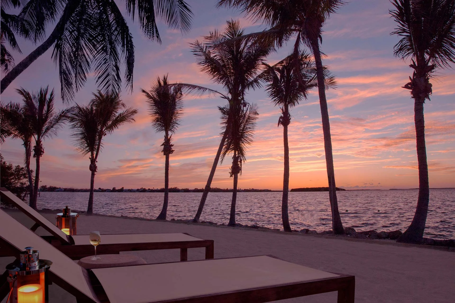 beach sunset with palm trees, reclining chairs and wine