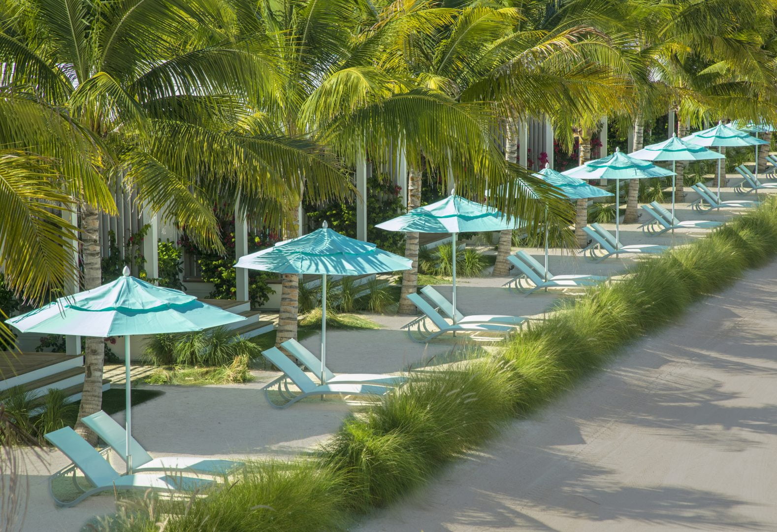 palm trees and lounge chairs with umbrellas