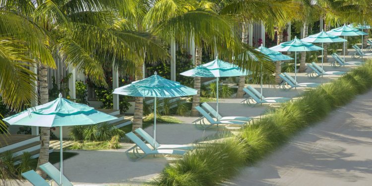 palm trees and lounge chairs with umbrellas