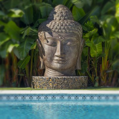 Zen Pool Buddha