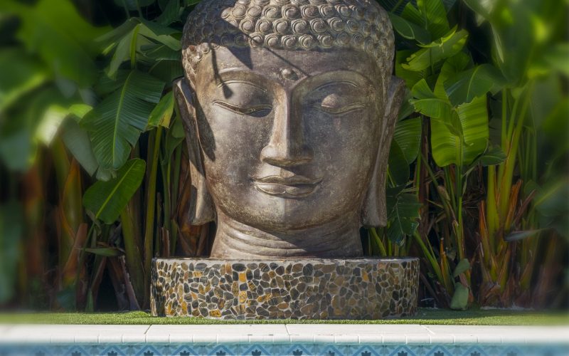 Zen Pool Buddha