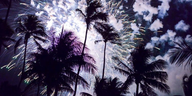 Fireworks-over-Palm-Trees---stock-photo Fireworks-over-Palm-Trees---stock-photo