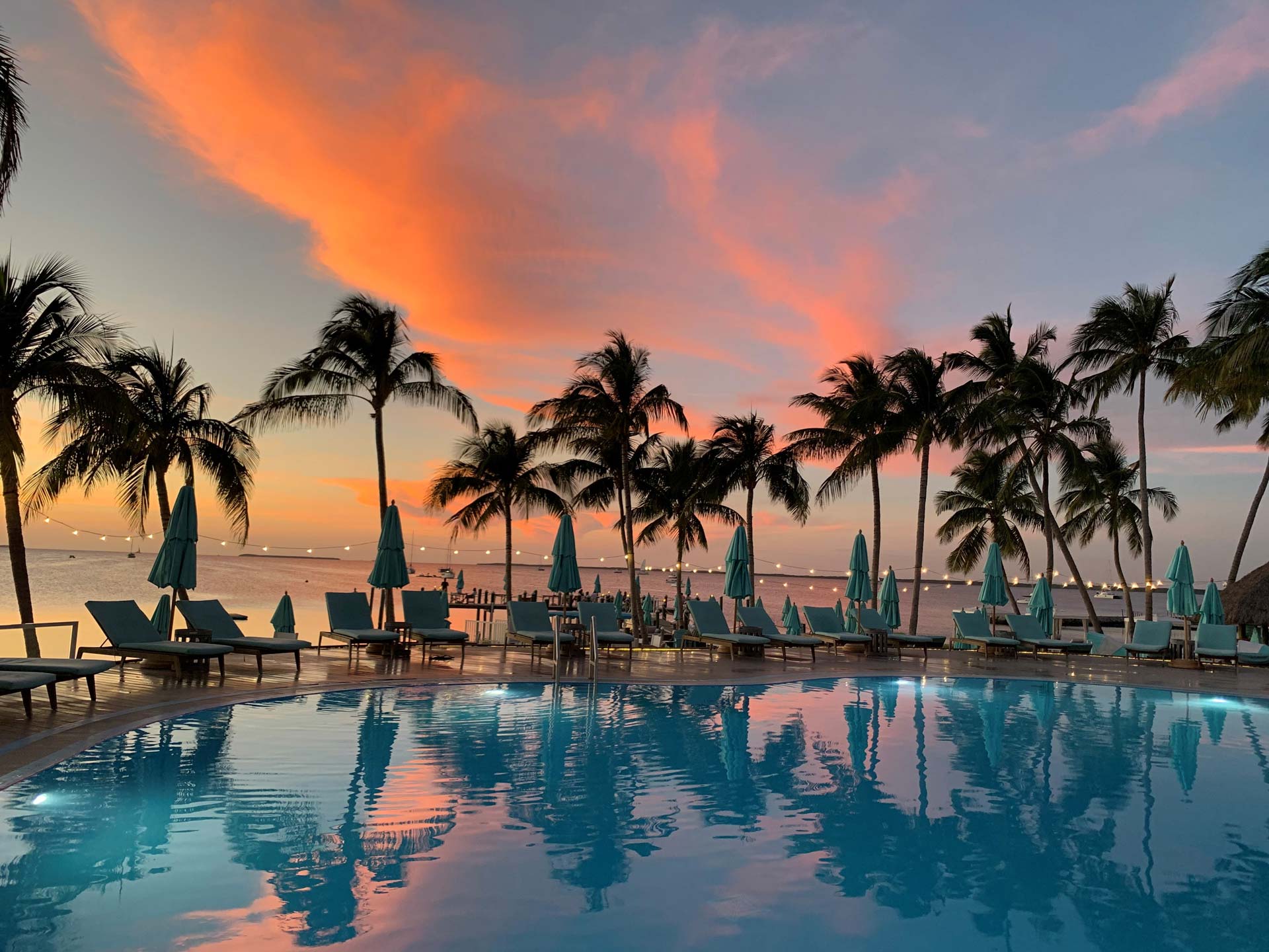 pool with lounge chairs, palm trees, and the beach