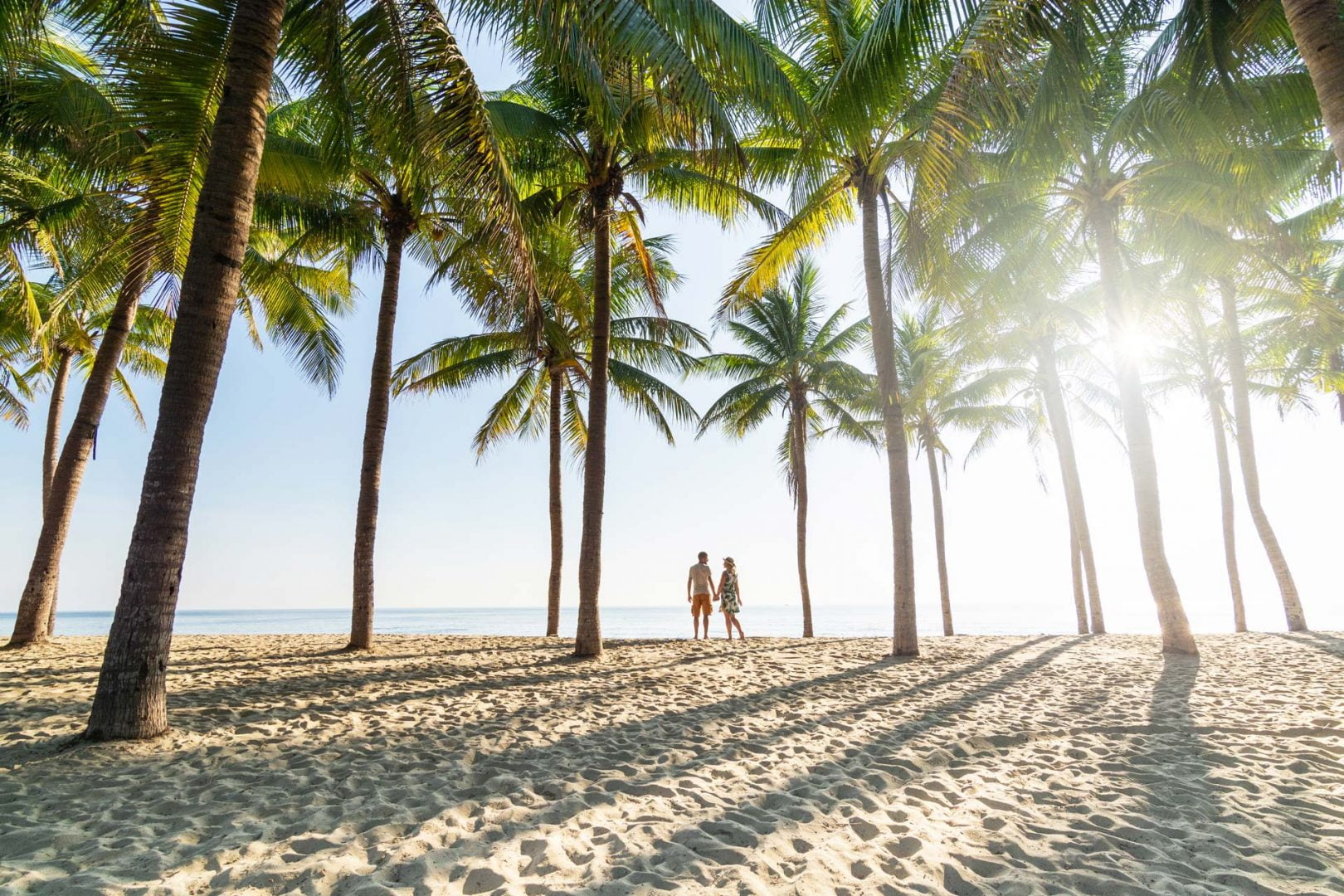 couple on the beach with palm trees