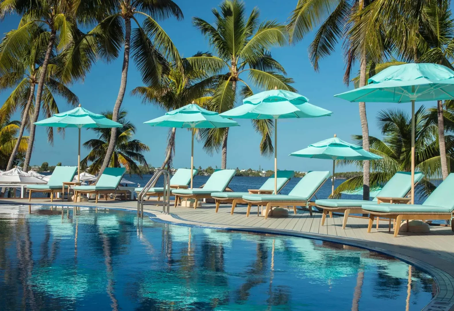 resort pool with lounge chairs and palm trees