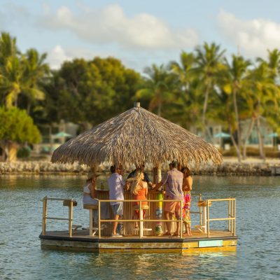 TikiBarBoat5 TikiBarBoat5
