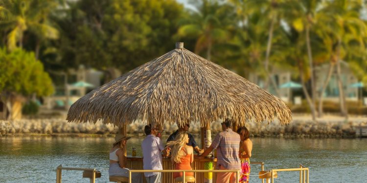 TikiBarBoat5