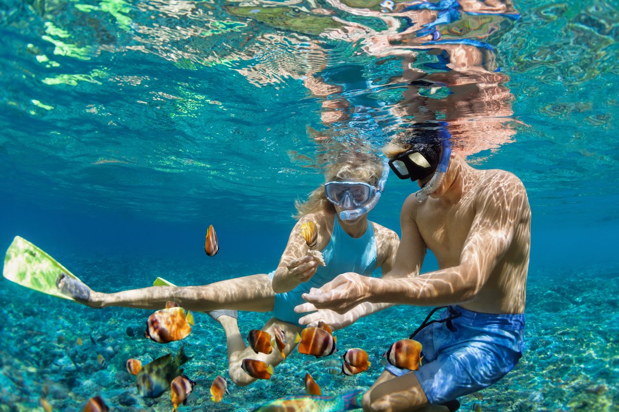 a couple snorkeling in the ocean