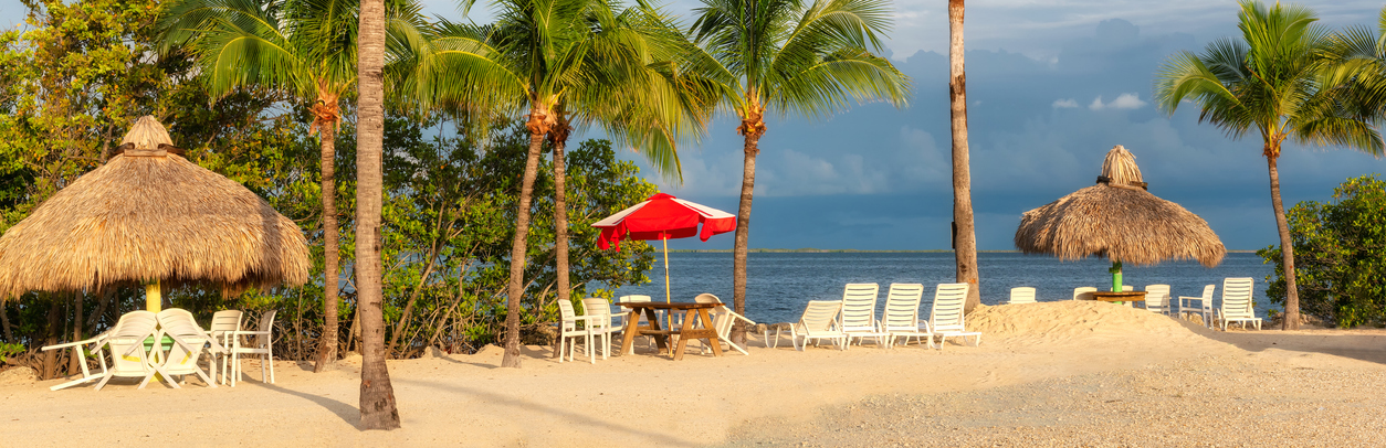 a beach on Key Largo with palm trees, umbrellas and chairs with a view of the ocean